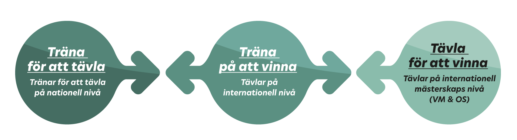 En bild