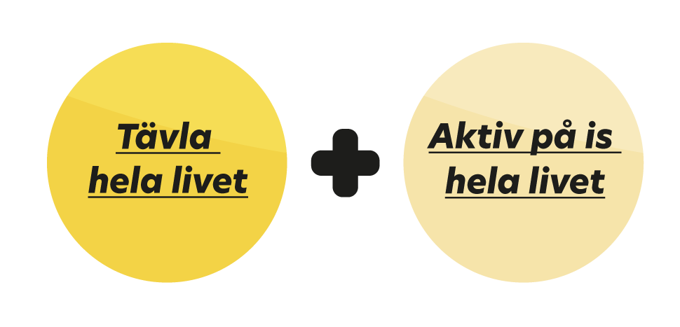 En bild