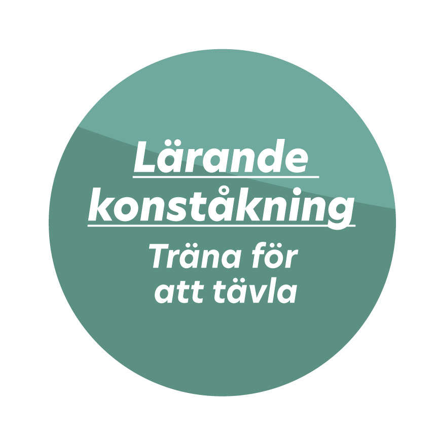 En bild