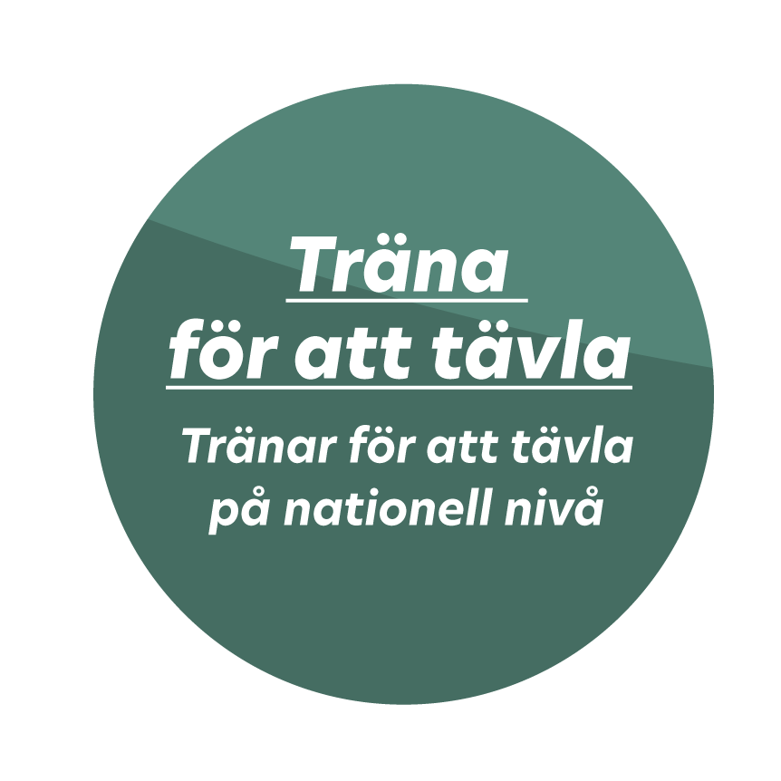 En bild