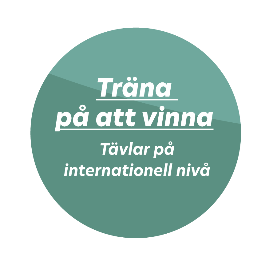 En bild