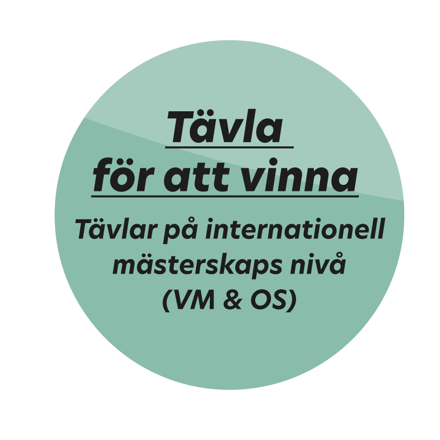 En bild