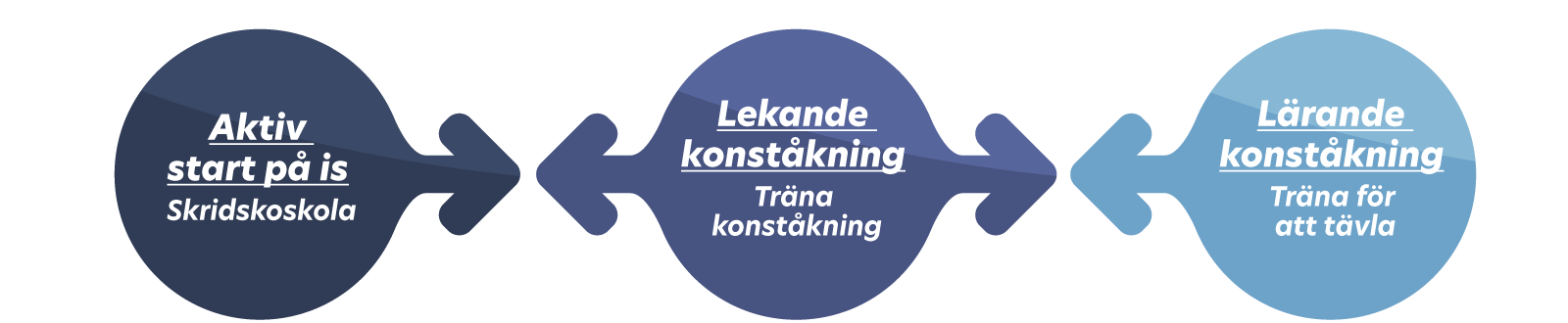 En bild