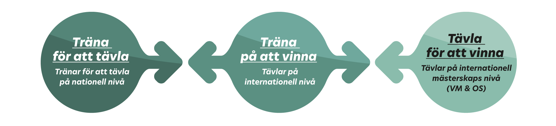 En bild