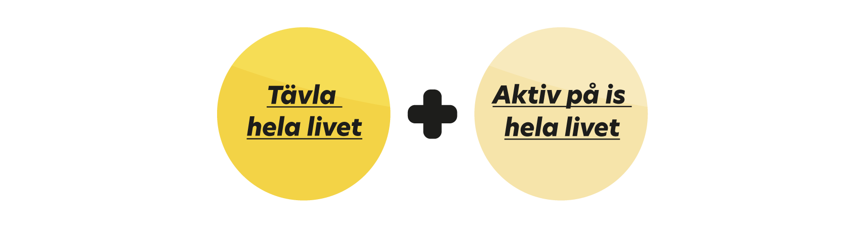 En bild