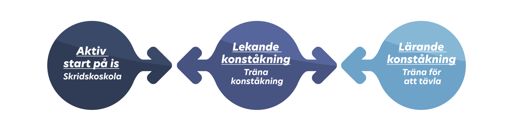 En bild
