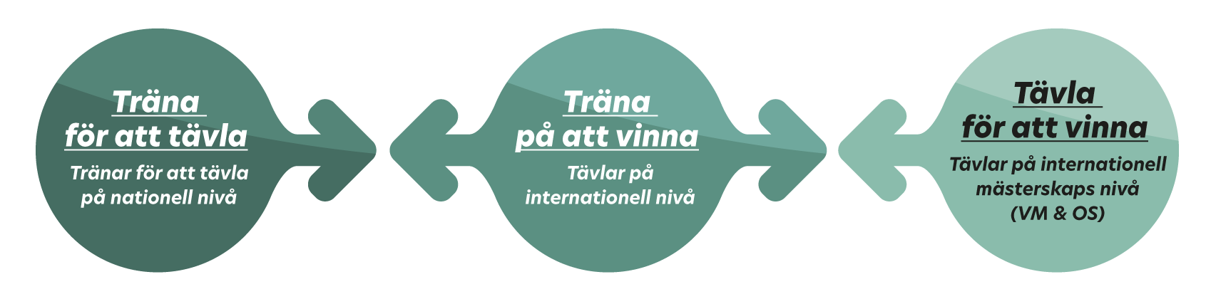 En bild