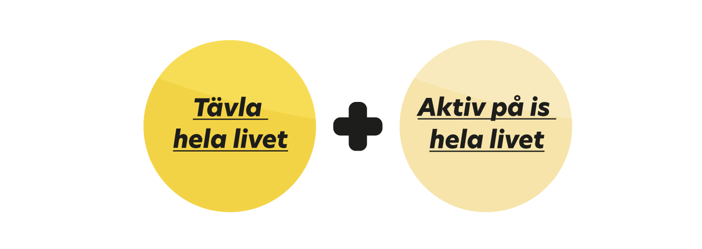 En bild